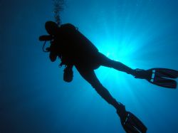 Picture of my dive buddy at 80ft at a site in Palau. by John Ryan 